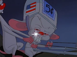 Illustration for article titled Every Single Pinky and the Brain Plan to Take Over the World, Ranked
